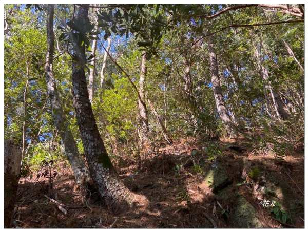 那羅山、煤源山、凌空廊道連走2684225