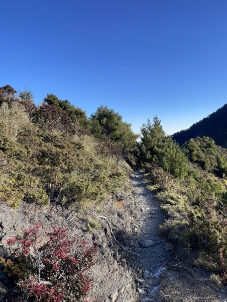 大霸群峰登山步道2049623