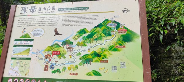 聖母登山步道2599809