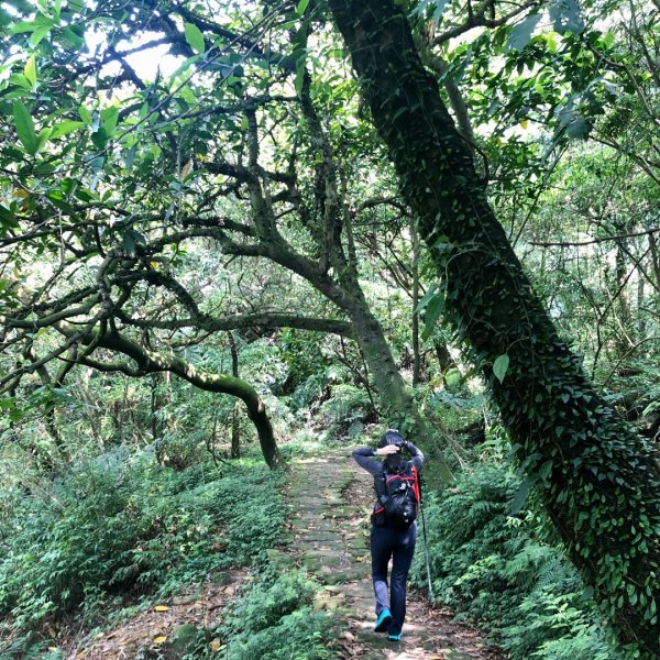 18.金包里大路（魚路古道北段）922155