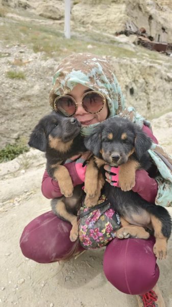 西藏♥️可愛動物🐎人物寫真/拉薩旅拍/美食2902877