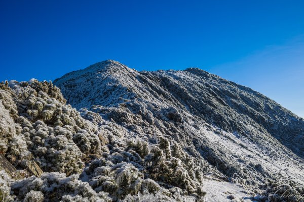 南二段撤退行2743134