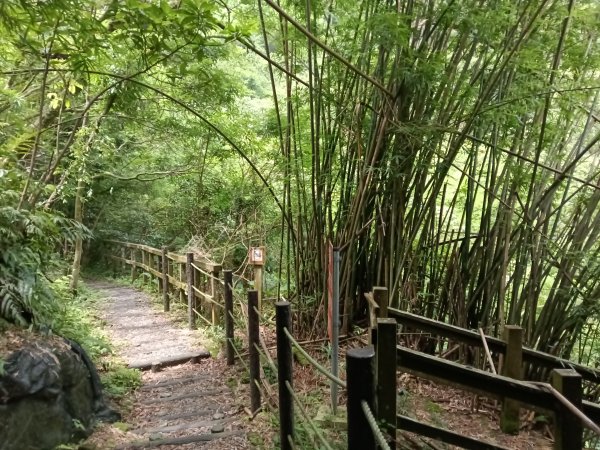 基隆市荖寮坑古道+十分古道(暖東舊道)+頂子寮山(嶺頭土地公)P字走2821504