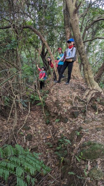 東勢大崙、東勢坑山、觀音湖山O走2986343