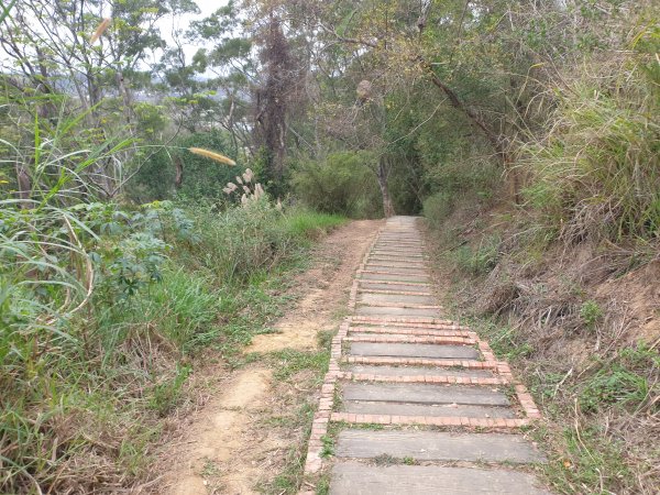 鹿廚坑步道1573915