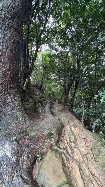 大雨後🙄2845404