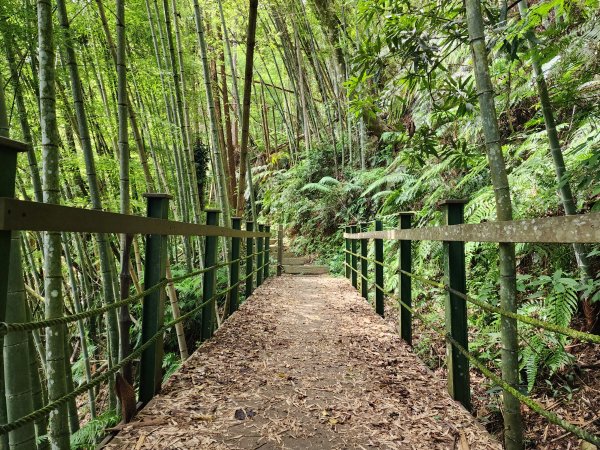 小百岳No.52⛰後尖山2555310