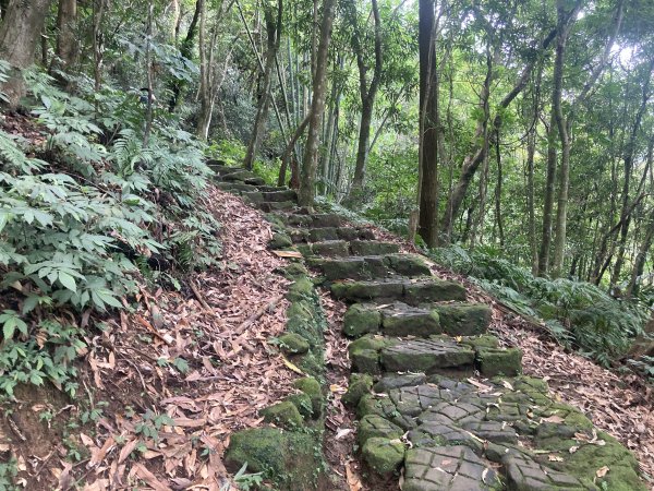 五指山橫向步道2569523