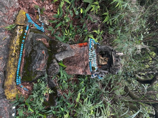 內湖鯉魚山之旅2811734