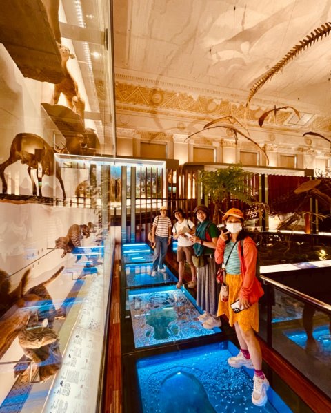 雨天備案💙 台灣博物館的古生代館-台大動植物館免費參觀-北投♨️季2799024