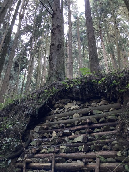 漫步特富野古道1604540