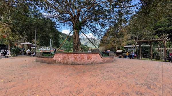 望龍埤,鎮頭山,蜊埤湖2391862