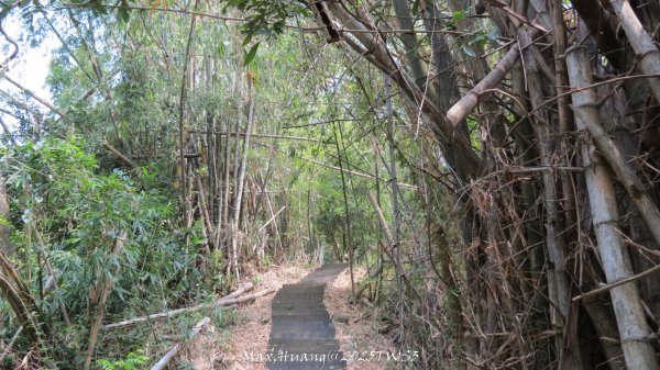 《南投》峰峰相連｜草屯九九峰森林步道O型202509062879279