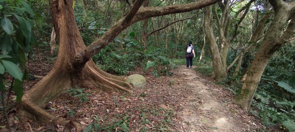 2025/10/19_大北坑休閒農區+福人登山步道2920835