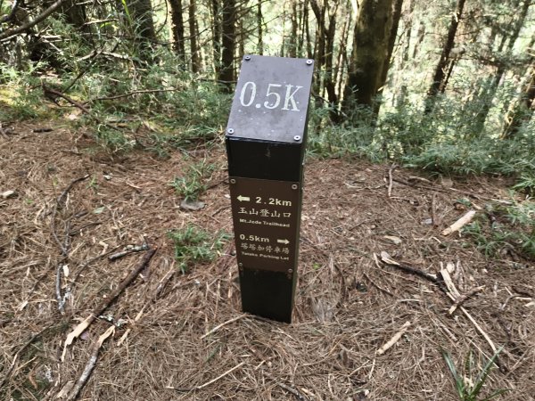 [玉山尋寶任務-09/12] 2025_0928 麟趾山步道2899872