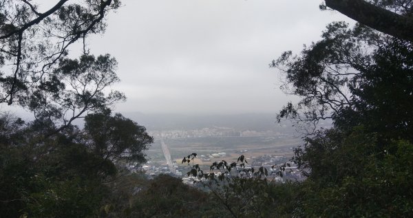 飛鳳山＆觀日坪古道1219210