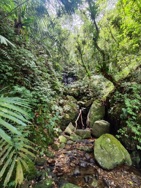 淡蘭古道第三段（我的淡蘭最終章）2838804