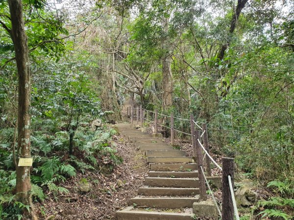 小東河步道1272638