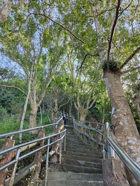 2023.12.24 旗尾山2838056