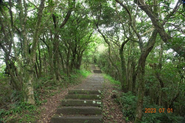 宜蘭 頭城 蕃薯寮山、鹿窟尾山、灣坑頭山2203007