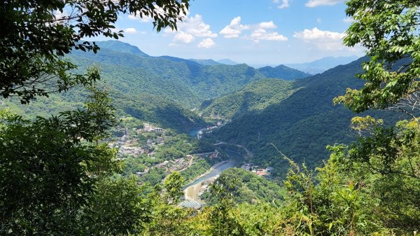 塔曼山，拔刀爾山，美鹿山南峰，內洞林道，大刀山，啦卡登山步道，桃園枕頭山，阿姆坪生態公園，大溪坪古道1795467