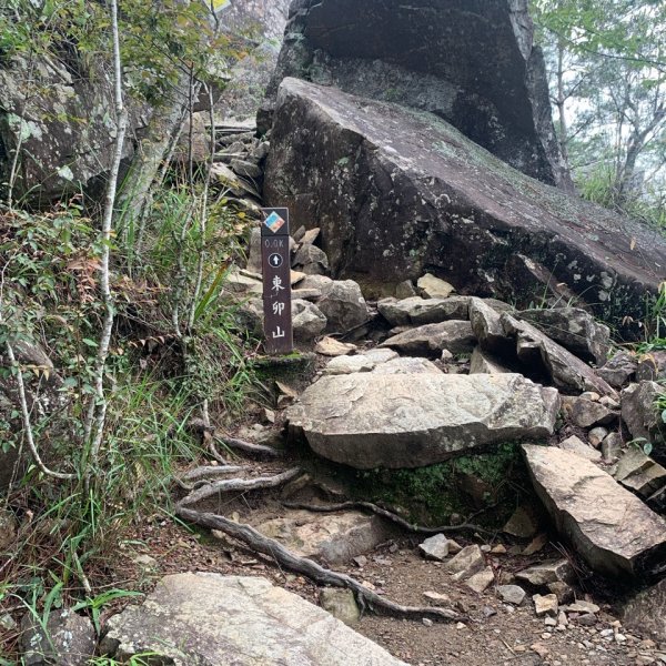 20240609 谷關東卯山(公子登山隊)2523426