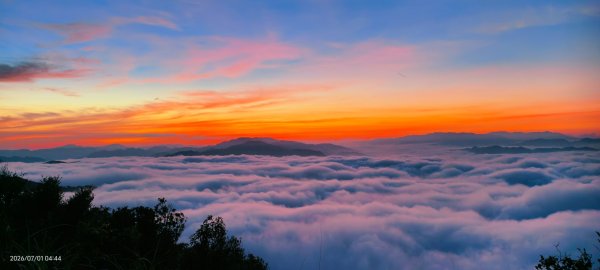 #石碇後山 #霞光 #日出 #雲海 #火燒雲 #魔目裳蛾 7/1&33080434