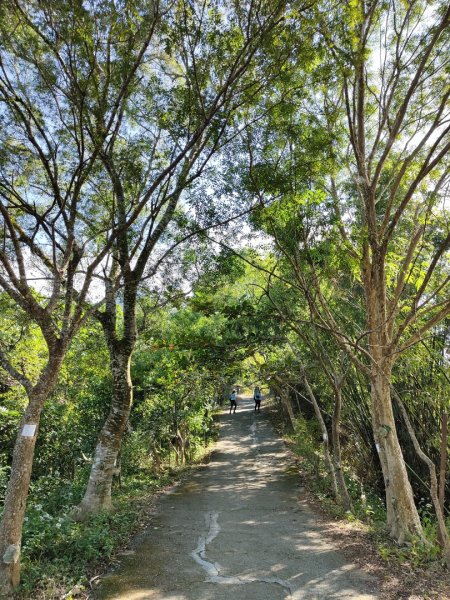 2023.12.24 旗尾山2838041