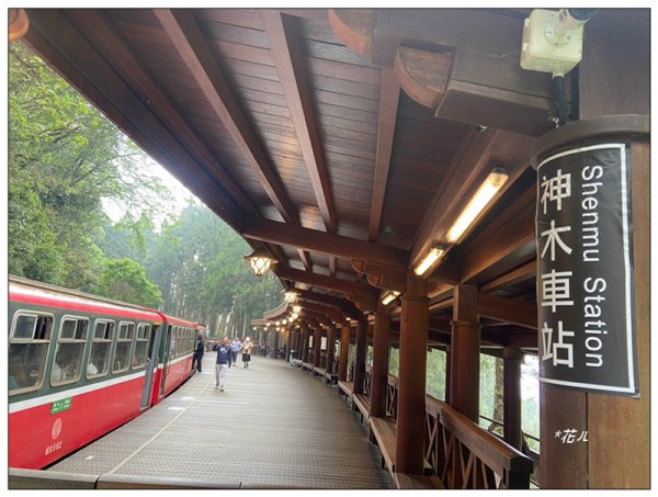 阿里山神木群棧道2771621