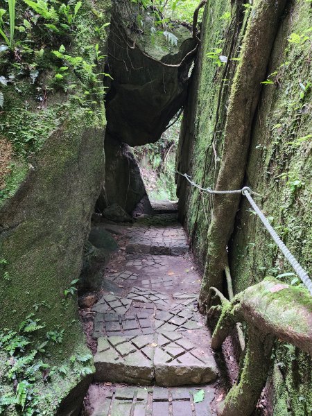 五指山橫向登山步道×猴洞步道一線天3060559