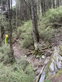 20250524 畢祿山單攻2796498