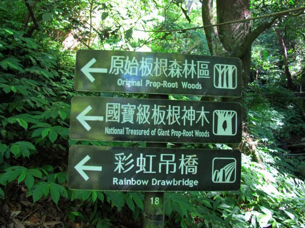 全台灣僅存低海拔亞熱帶雨林大板根森林787505