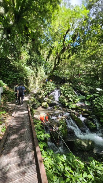 【我的第一個教師節🤣🤣】解鎖第51座小百岳#083三角崙山（抹茶山、聖母登山步道）2900603