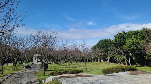 2024-0131 山仔后-住六公園-東方寺-狗殷勤-平菁街42巷-鵝尾山水田-平溪步道2414938