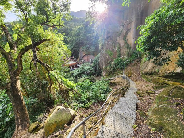 20251109四獸山步道2961738