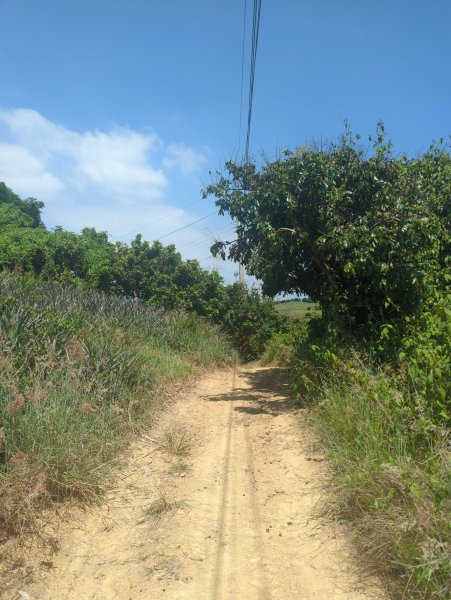 2025.10.05－阿罩霧山、中心瓏步道2908079