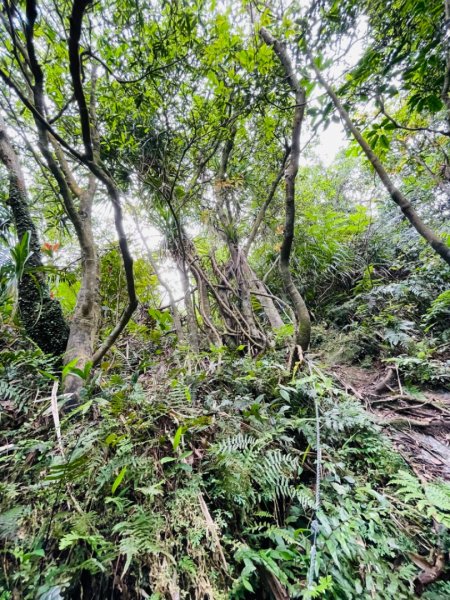 淡蘭中路（暖暖車站-十分車站）1685515