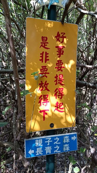南山神壽：竹南海濱森林步道1901538