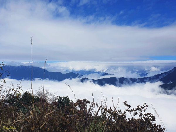 【塔塔加六山】眺望玉山最美稜線1234910