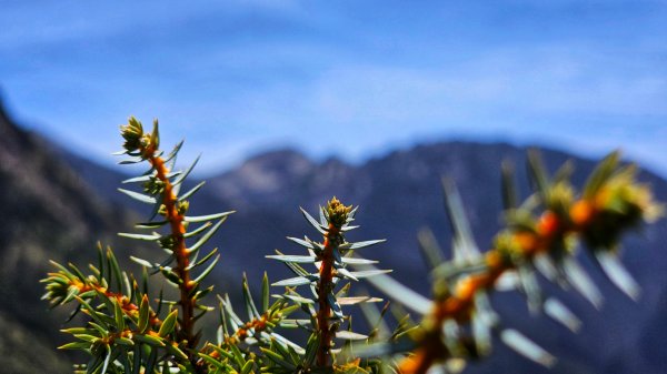 112.04.16 玉山前峰2123733