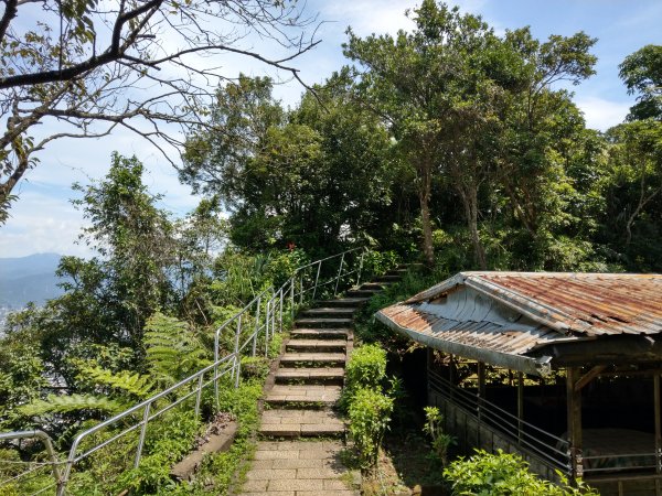 九五峰步道1453909