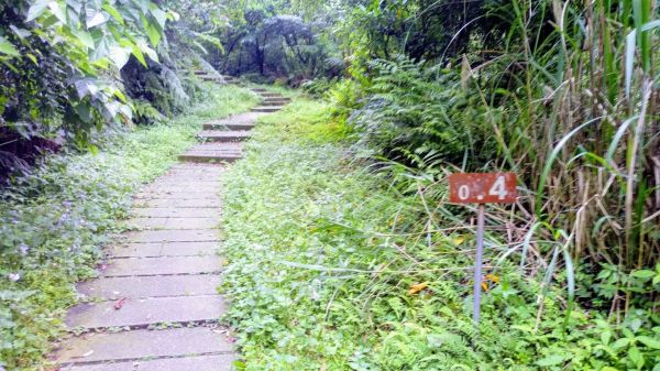 淡蘭古道.五分山串走320392