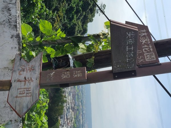 小百岳阿罩霧山、望月峰獻堂登山步道1890472