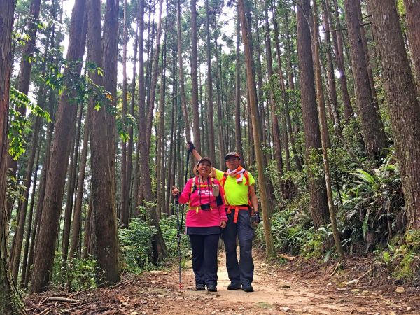 橫嶺山、沙蓮山小O行 2018/5/6328209