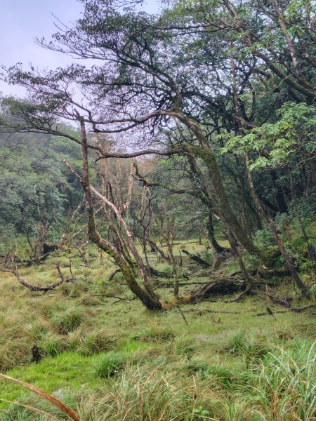 渭水之丘 烘爐地山 抹茶山 三角崙山2938740