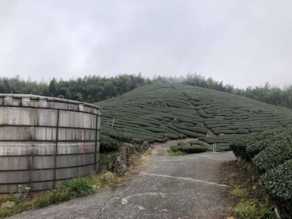 嘉義縣阿里山鄉石桌山三等三角點NO.50261630849