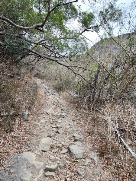 小百岳-里龍山2752575