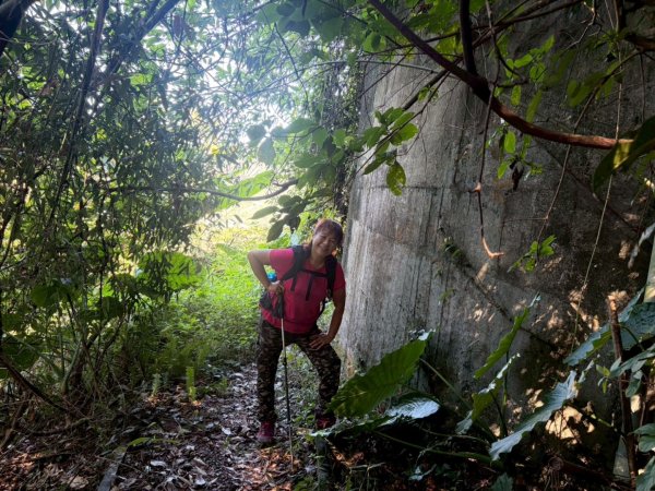 雙崎埋伏坪山歩道、鯉魚潭水庫、大峽谷2938934