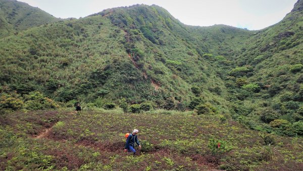 春末絕美山行劍龍路上劍龍鋸齒稜經牛伏礦體和哈巴狗岩出黃金池1674936