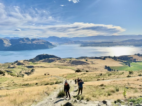 紐西蘭之旅-羅伊峰（Roy Peak ）Hiking 2025.1.282709654